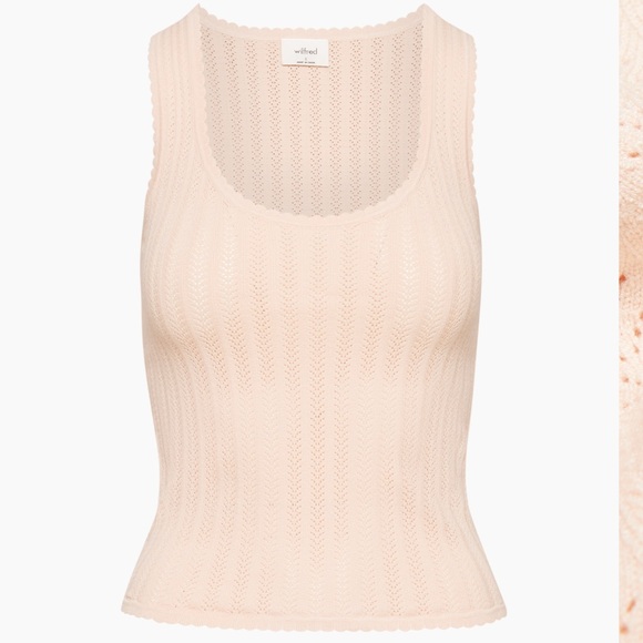✨ Wilfred Watson Top Pointelle-knit scoopneck top✨ - Picture 1 of 15